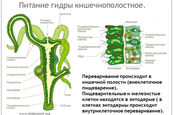 Проблемы со входом на кракен